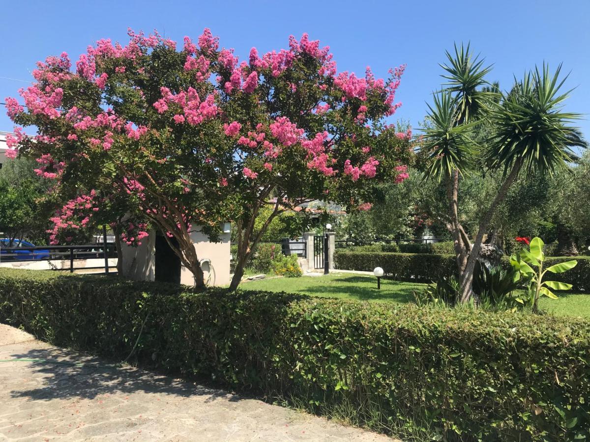 Villa Diamantis Apartments Chaniotis Dış mekan fotoğraf